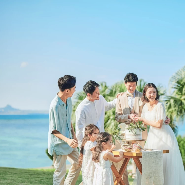 アールイズウェディング ARLUIS DRESS オーバースカート