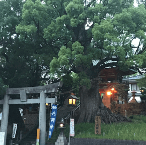熊本県の復縁神社 ※恋愛成就・縁結びを叶えるパワースポット