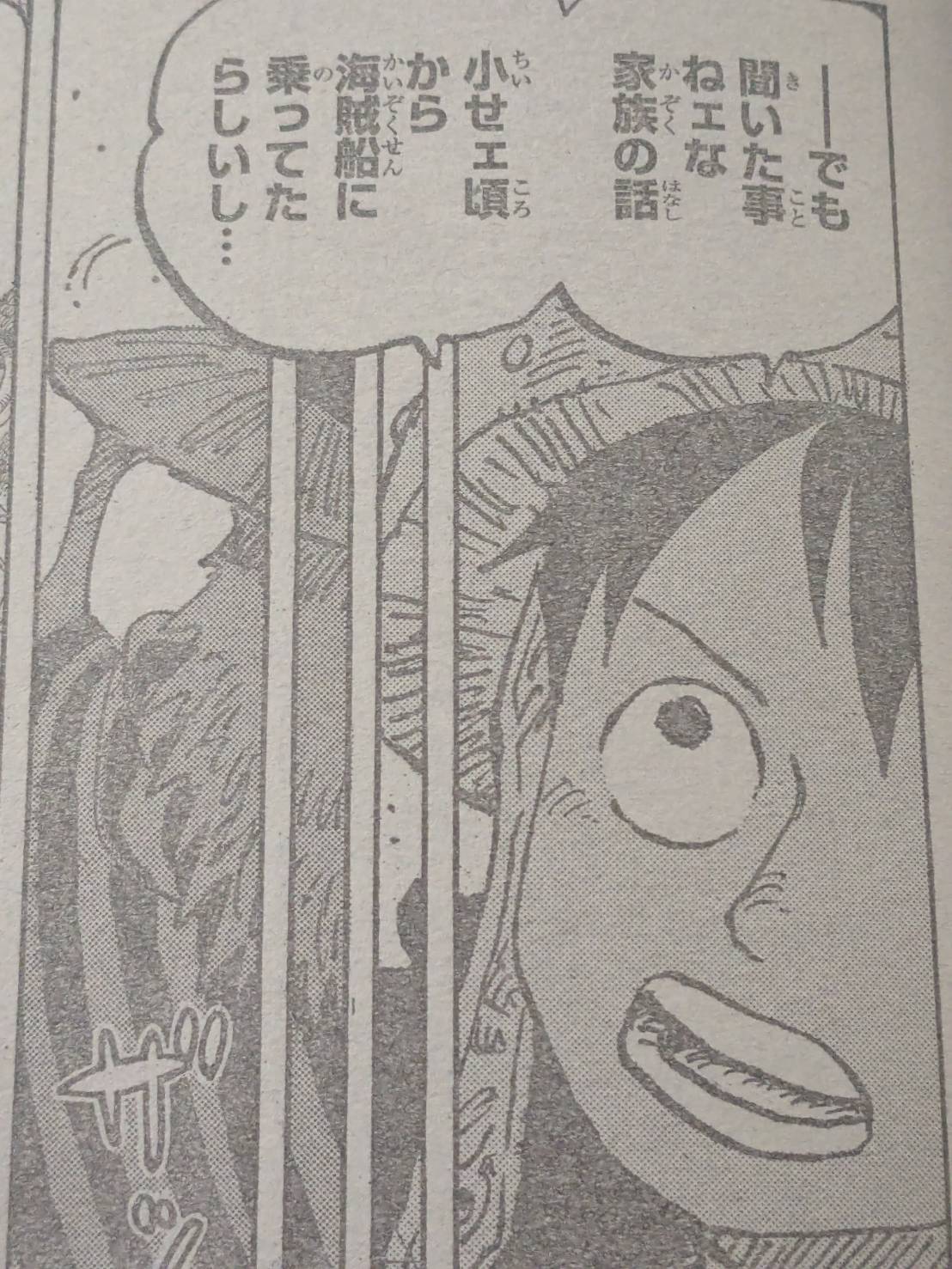 590話 弟よルフィの兄弟-9- ワンピースまんがぱうち レビュー・ネタバレ