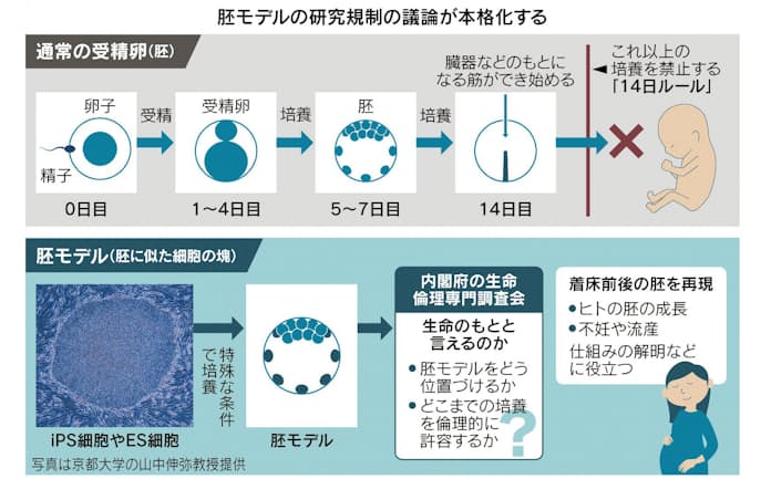 鈴木リズ‎〘公式‎〙性職者 on X: 