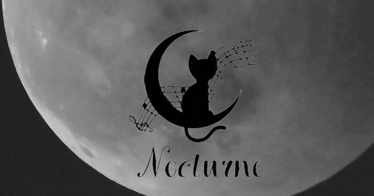 錦糸町に新しくできたハプニングバー ノクターン（Nocturne） 体験レポート