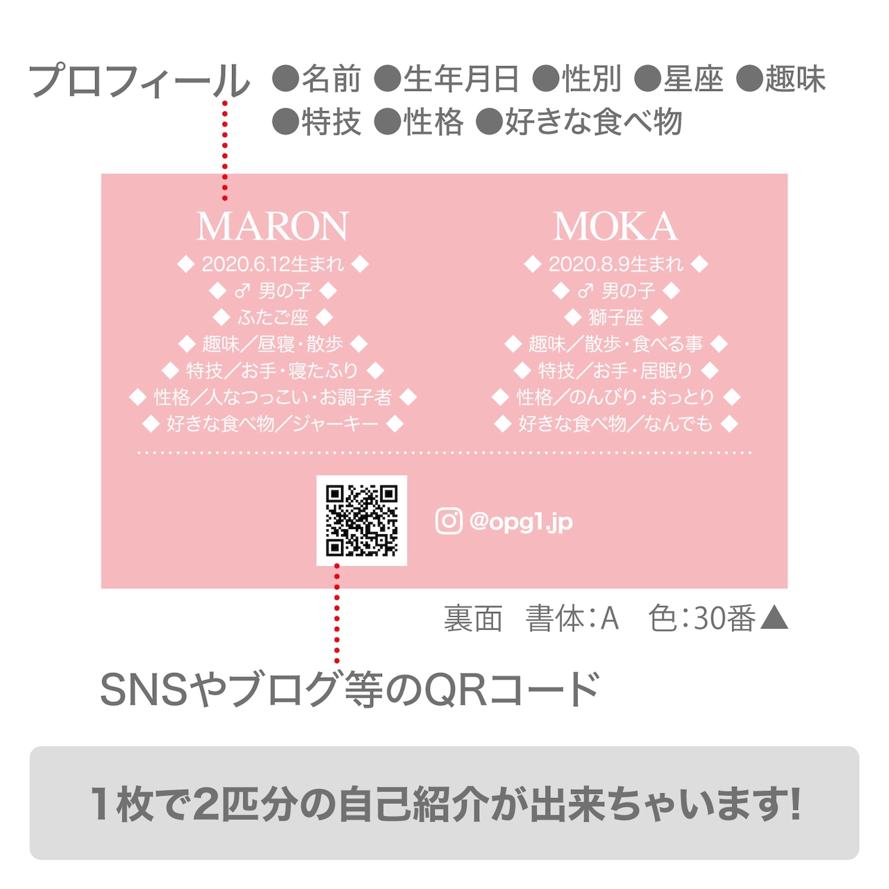 3匹用ペット名刺 QR付きHALF FACE半顔 合成: カラー 9色犬 多頭 ペット名刺 両面印刷 イヌスタ大人気 半顔合成シリーズスマホで作れる愛犬家のための印刷サービス