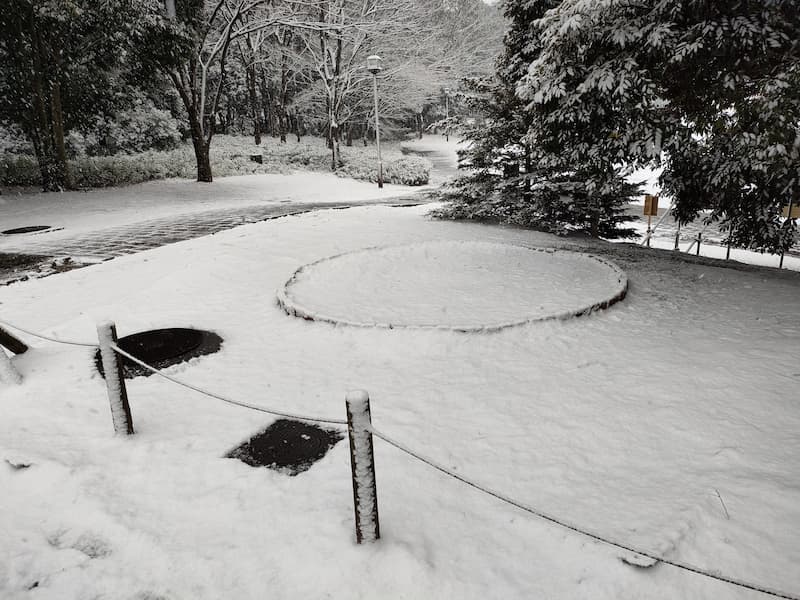 多摩市】2月10日に関東で積雪・雪模様の多摩ニュータウンを歩きました！ | 号外NET 東京多摩地区