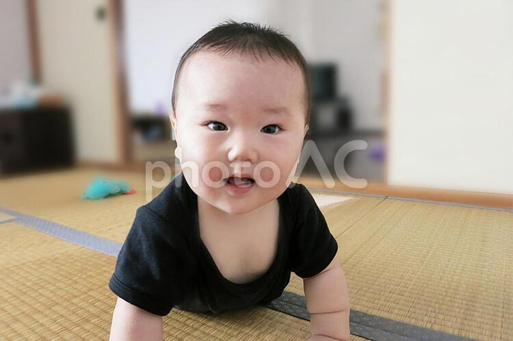 10,223 赤ちゃん びっくり Stock Photos, High-Res Pictures, and Images - Getty Images