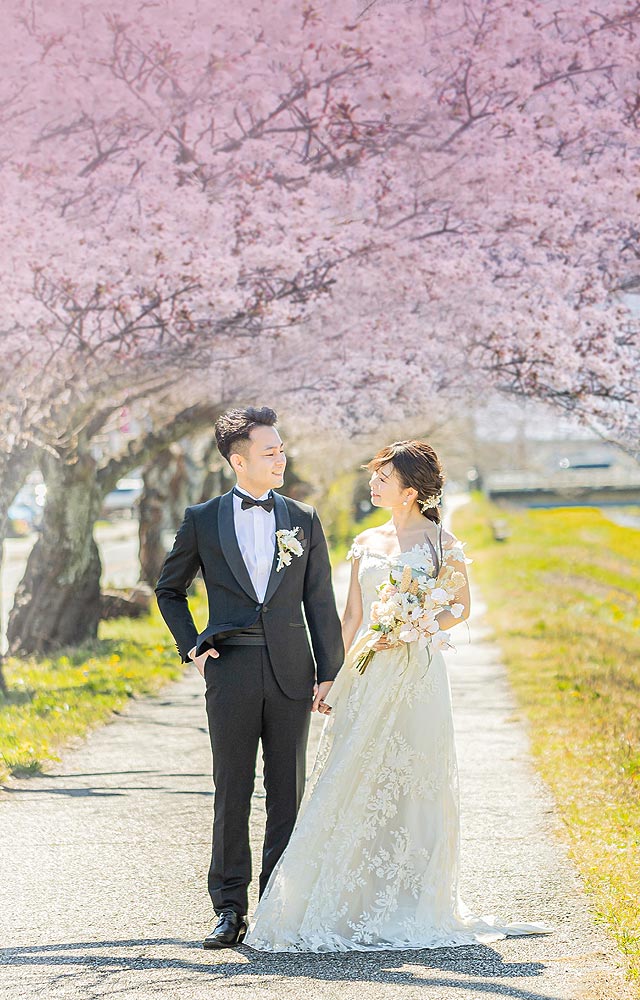 満開の桜ロケーションフォト。東京から お客様の声ウェディングフォト.com