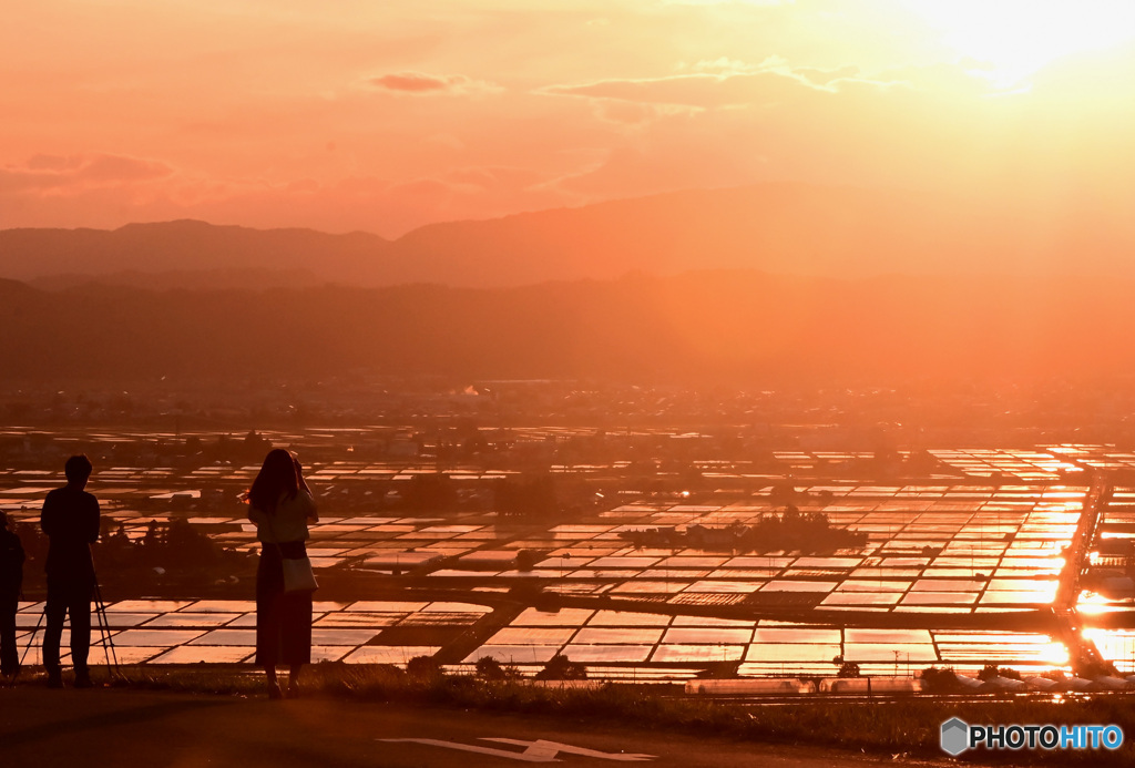 恋人と生活の共有についての2択の議論