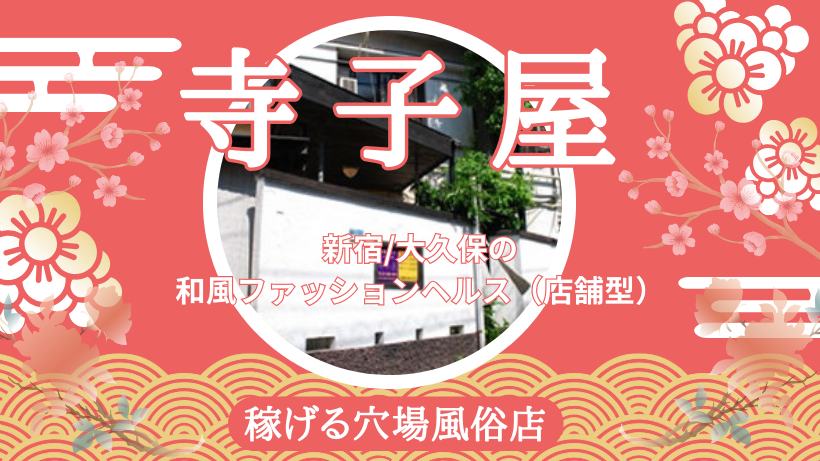 寺子屋（テラコヤ）の募集詳細｜東京・大久保の風俗男性求人｜メンズバニラ