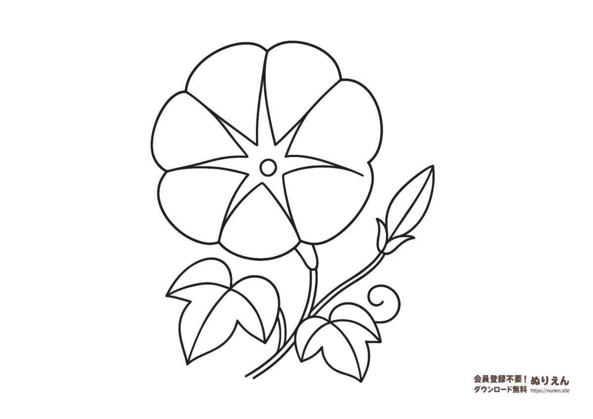 Amazon花の塗り絵、居心地の良い植物の塗り絵, 子供向けの創造的な塗り絵,ストレス解消本、塗り絵、大人用、心を落ち着かせる、子供向けの創造的な塗り絵ぬりえおもちゃ