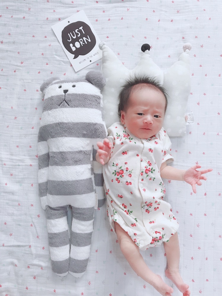 ブス可愛いの写真素材写真素材なら「写真AC」無料 フリー ダウンロードOK