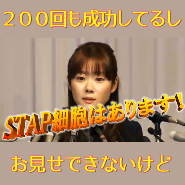 STAP細胞は、ありまぁす」 平成最強の自分好き・小保方晴子さんに見る“味方づくり”の才能私が令和に語り継ぎたい「平成の名言」文春オンライン