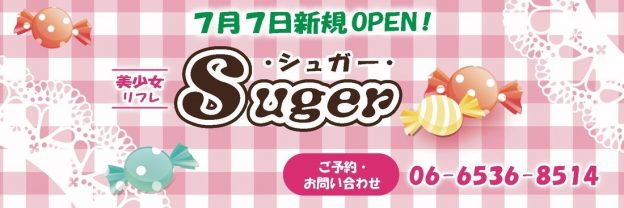 駿河屋 -【アダルト】<中古>ランクB)過激なオプションで大人気。 予約の取れない添い寝リフレ。