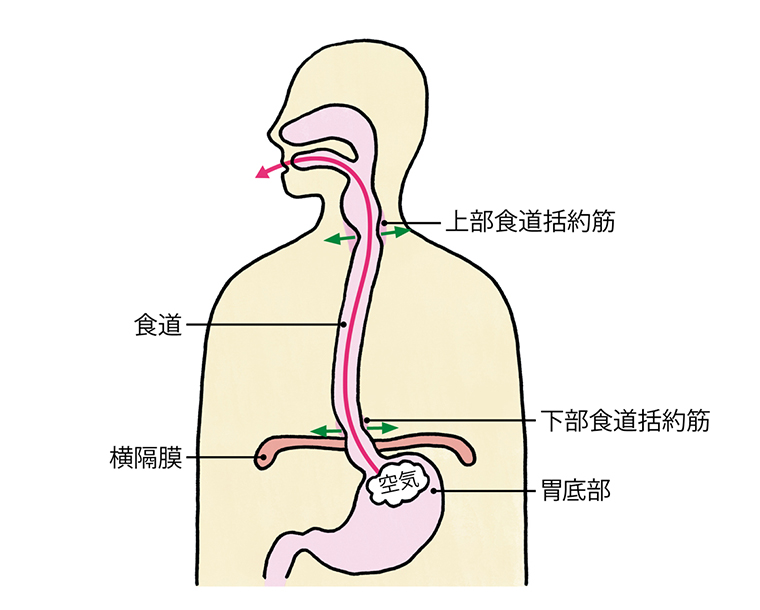 更年期障害対策ケア】動悸・息切れの原因とは？症状を楽にするセルフメンテナンス「呼吸＆ツボ押し」(2ページ目) | ヨガジャーナルオンライン