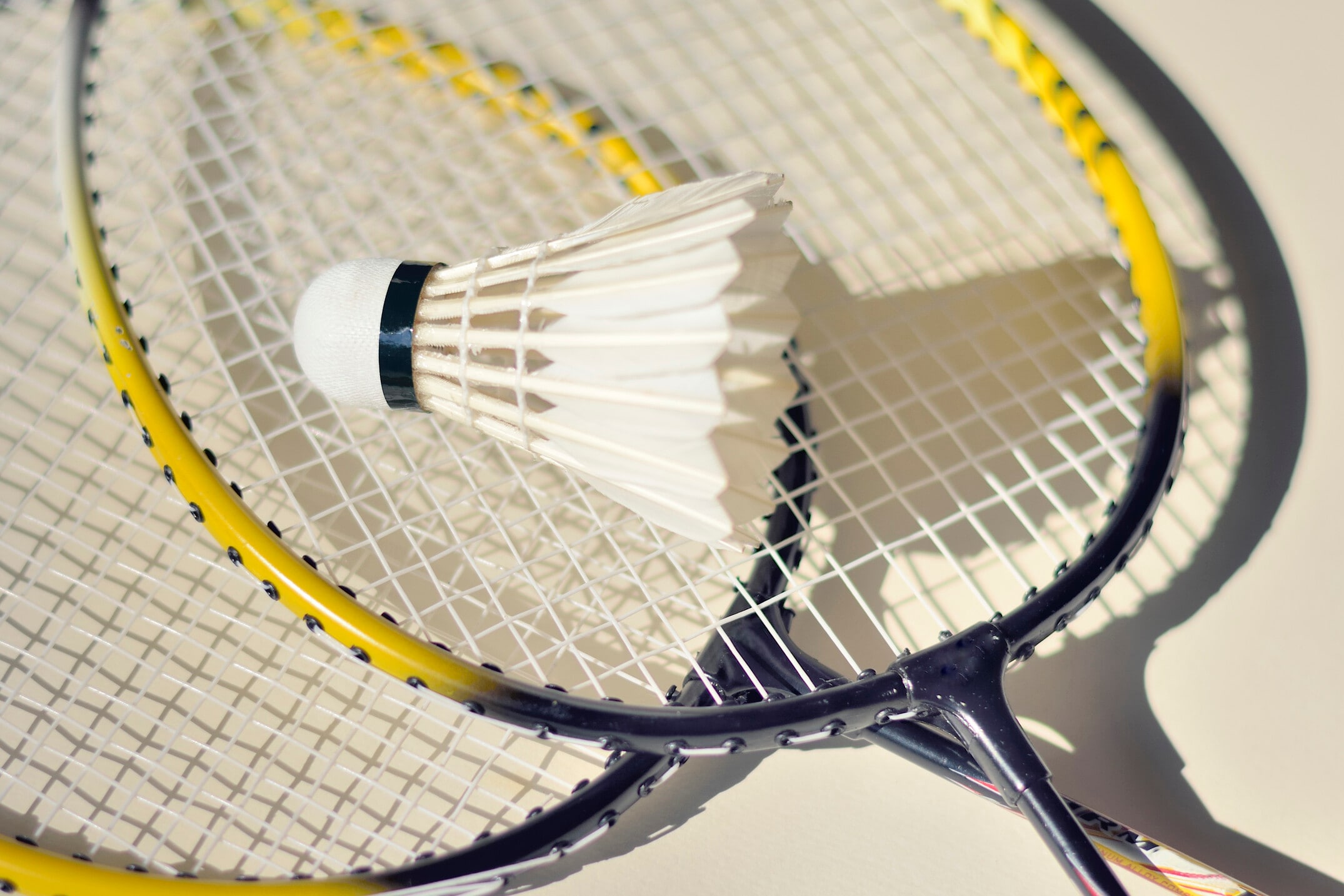 バドミントンは女性にモテるスポーツ!バド部男子のモテる理由を紹介 - スポーツ大学