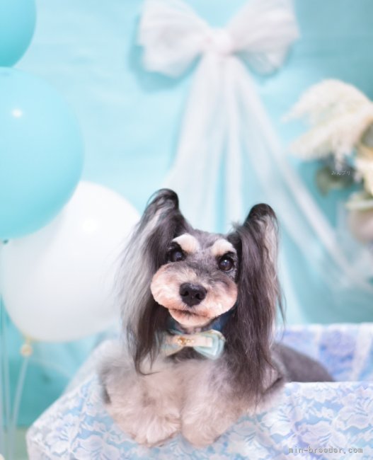 Destiny』亀梨和也＆田中みな実の熱愛効果は微妙？ 最大の盛り上がりは「無理ある大学生役」日刊サイゾ