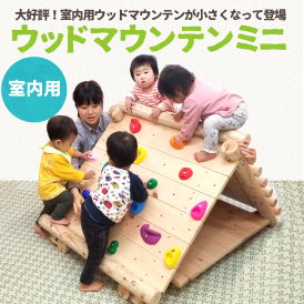 DIY 室内うんていを自作 鉄棒とのぼり棒も！ 大人もOK