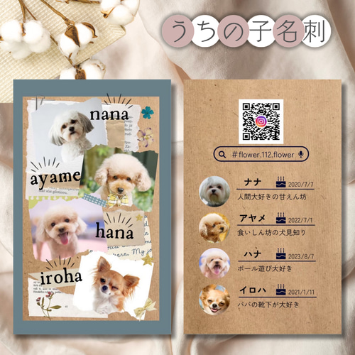 ペット名刺_長方形タイプ_ブラックボードデザイン 1個50枚 _rec_w008-dペット名刺のもふり堂