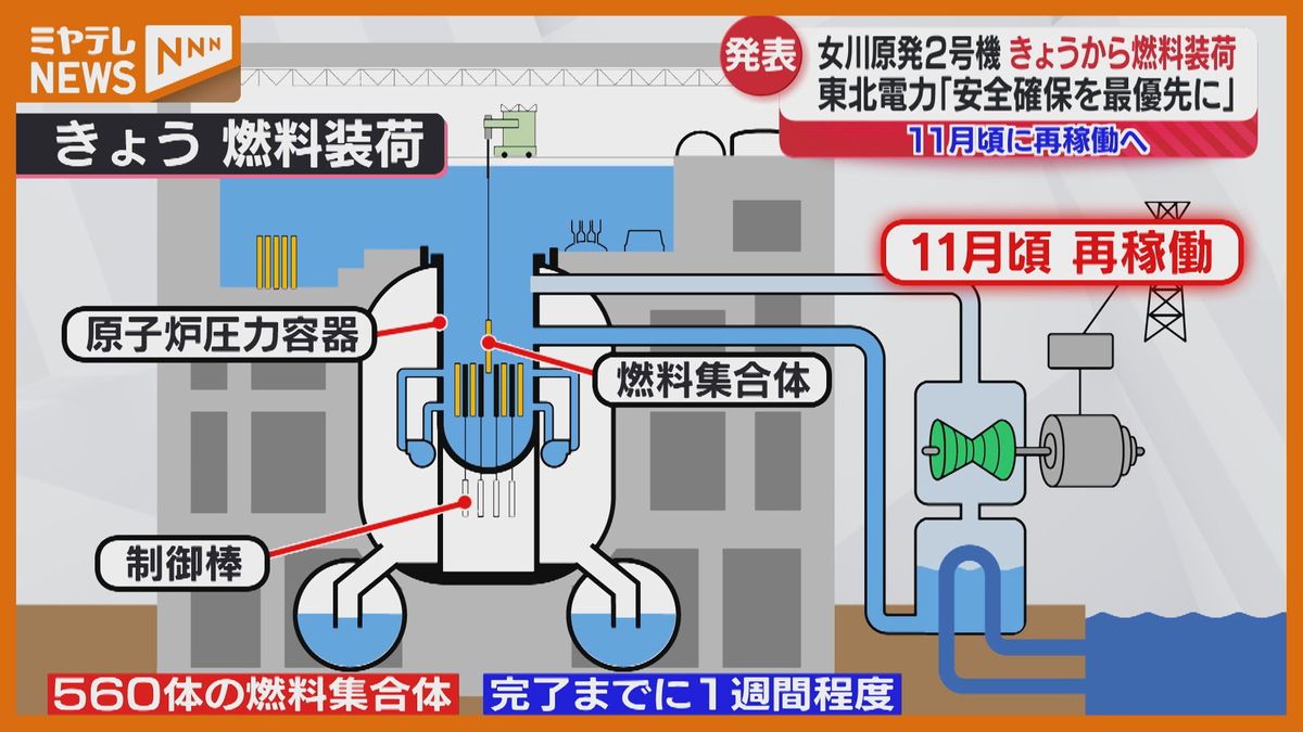 Y－MOLD 株式会社-製品・技術情報 - マイクロニードルTechno Reach Nagano テクノリーチ ナガノ