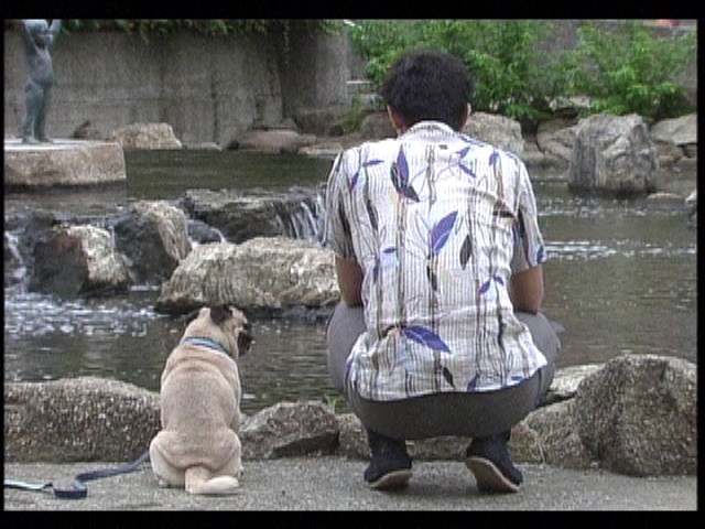 まだ結婚できない男』 このドラマの放送は2019年そして今は2025年 時の流れは本当に早い💦 今ドラマが再放送されている地域もあるようです。お知らせくださった皆様 ご親切にありがとうございました。 当時、太郎なりに一生懸命演技したので、 放送が観れる方は、 お