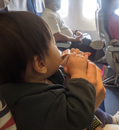 1歳〜1歳半 CAが実践! 月齢別赤ちゃんとのフライトを乗り切るコツ 持ち物・機内での遊び・食事など元CAのカーニバル生活