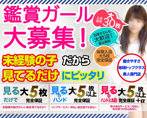 東京のオナクラ・手コキ求人【バニラ】で高収入バイト