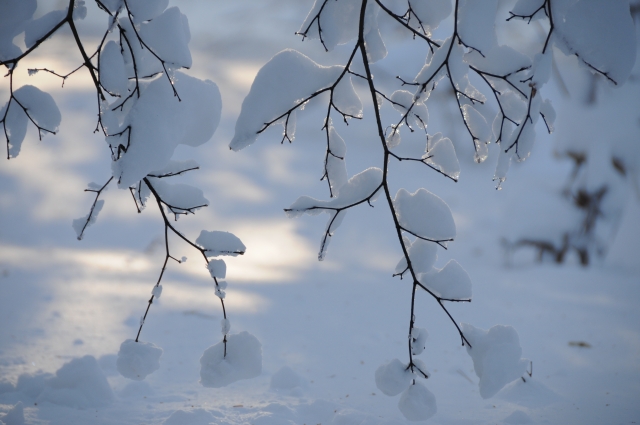 NODOG NOLIFEパーカー 送料無料 愛犬とペアルックもできる♪ パーカー 名入れ 名前入り 名前入れ プレゼント ギフト おしゃれ かわいいパーカー 長袖 冬服 おすすめ 誕生日 秋冬 還暦祝い 送別祝い 女性 男性 彼氏 NODOG NOLIFE ペアパーカー 犬 飼い主 ペアルック