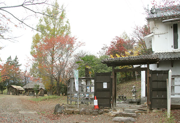 花子家 ダイニング居酒屋 vegetablelife - 三郷 居酒屋食べログ