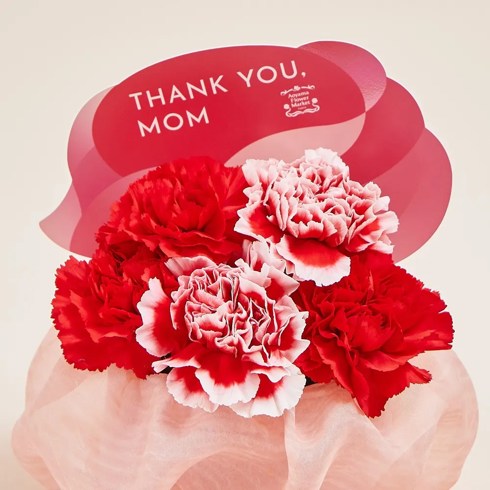 カーネーションさくらもなか 母の日遅れてごめんね