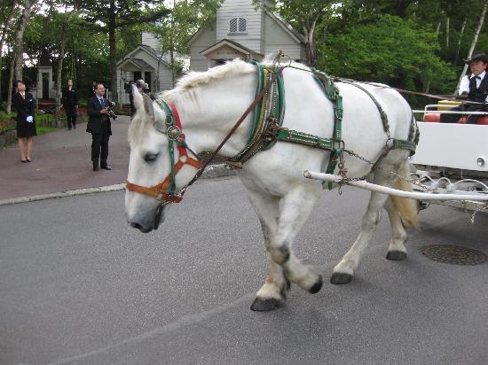 馬車道十番館 横浜- 横浜・金沢・軽井沢の前撮りはフォトジェリッシュ
