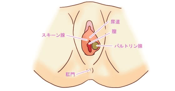 ドM女子が解説】挿入中の潮吹き「ハメ潮」のコツのご紹介！見た目もエロすぎ！ | Trip-Partner[トリップパートナー]