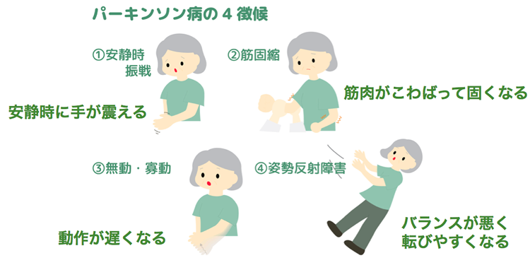 いわさきちひろに関する情報提供のお願い いつも、ちひろ美術館の活動を応援してくださり、ありがとうございます。いわさきちひろが55歳でこの世を去ってから、2024年で丸50年が経ちました。驚くべきことに、半世紀が経つ今なお、遺族や当館でも知らなかったような