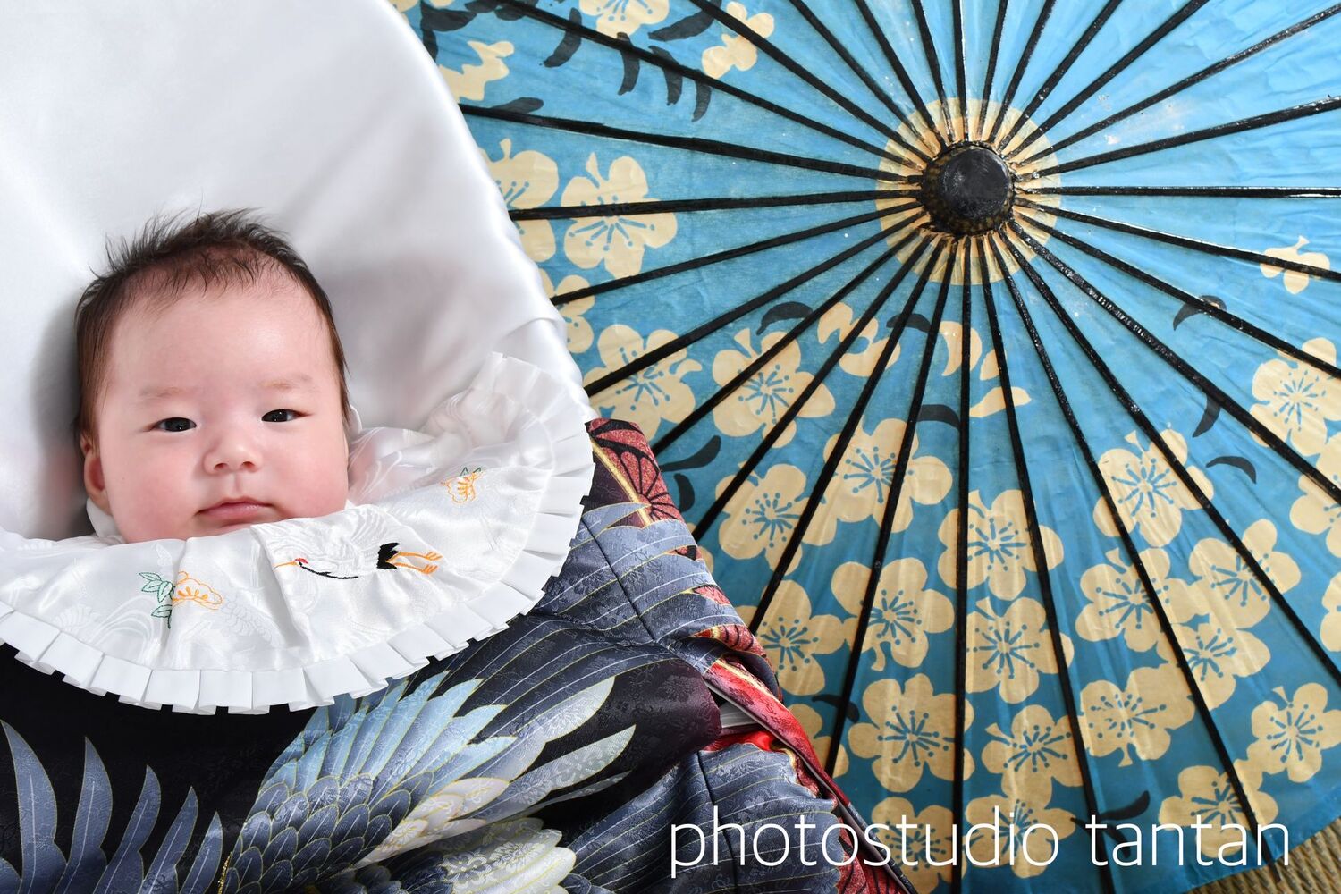 ギャラリー お宮参り・百日祝写真撮影スタジオ 東京写真館 ビックカメラ