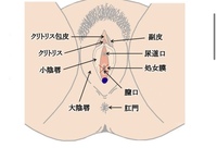 そのH、間違えてない…？「これが私たちの本音！男子がやりがちなダメH」 メンズノンノウェブ |