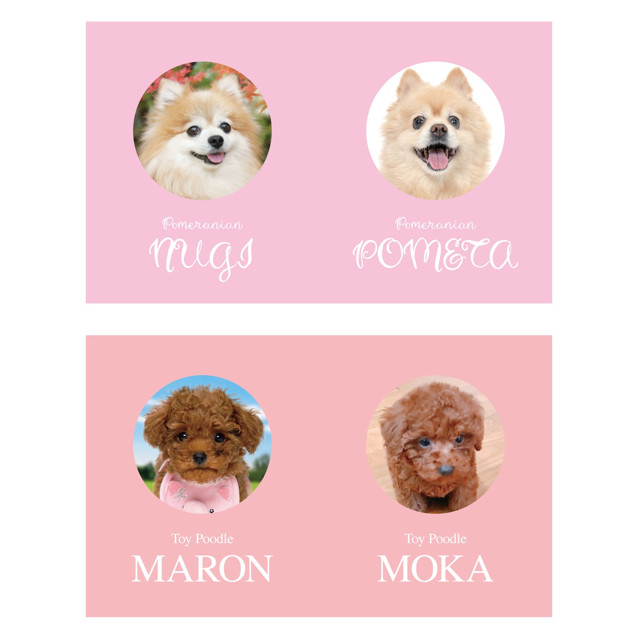 ペット名刺の制作実例犬 多頭飼い3頭 の型抜きペット名刺w_cut0038