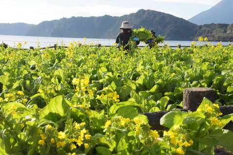 鹿児島ニュース：鹿児島県の事件や話題の最新情報 : 読売新聞