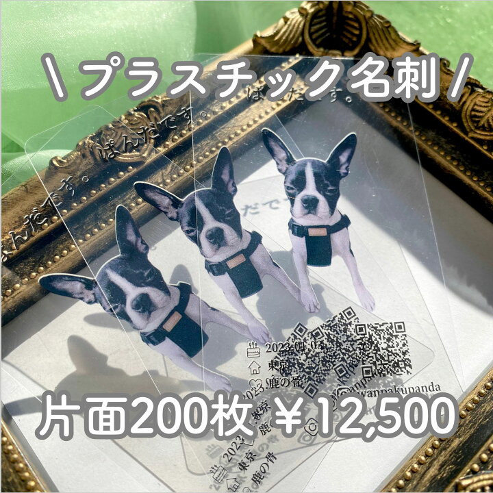 ペット名刺無料テンプレートデザイン。イラストや画像付きも豊富 - Canva キャンバ