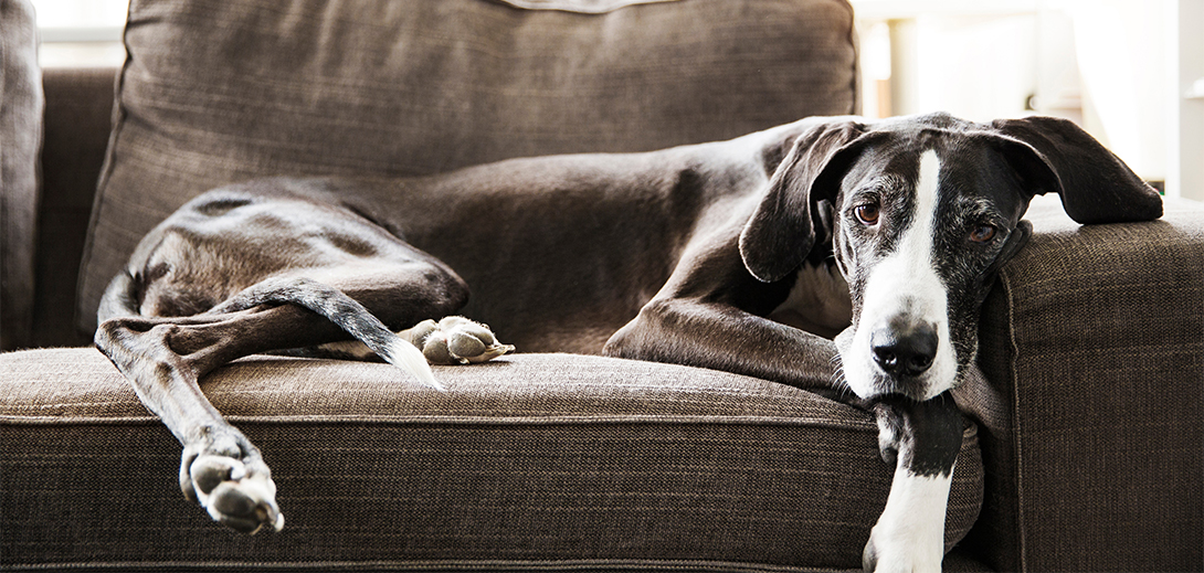 なんですぐ拗ねるの？」拗ねる子どもの心理と親が知るべき対処法