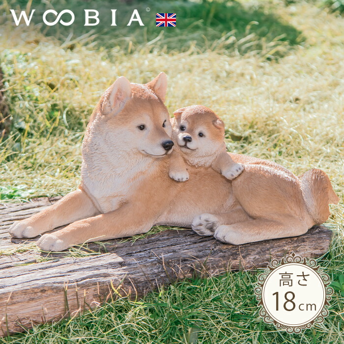 子犬の子育てにおける「お父さん犬」の役割ワンペディア