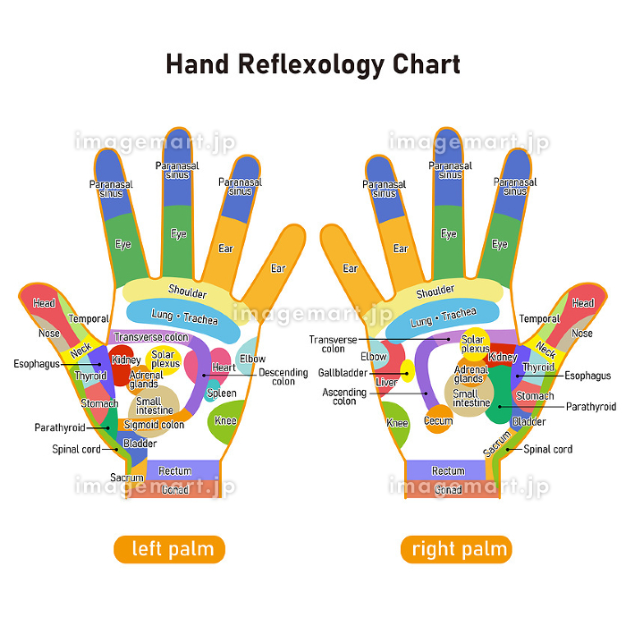 手の反射区（ハンドリフレ動画付き） : 整体 ツボゲッチューりらく屋（朝霞)