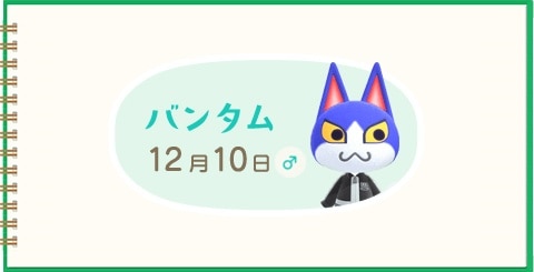 人気投票 1~270位 どうぶつの森キャラクターランキング！最も愛されたどう森の住人は？みんなのランキング