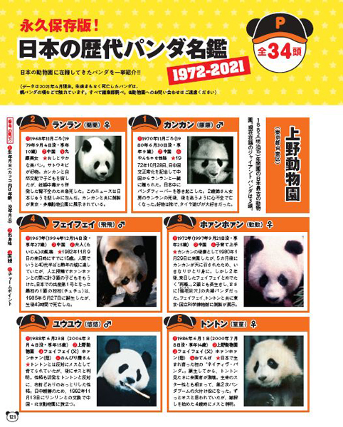 パンダ写真館 かわいい顔