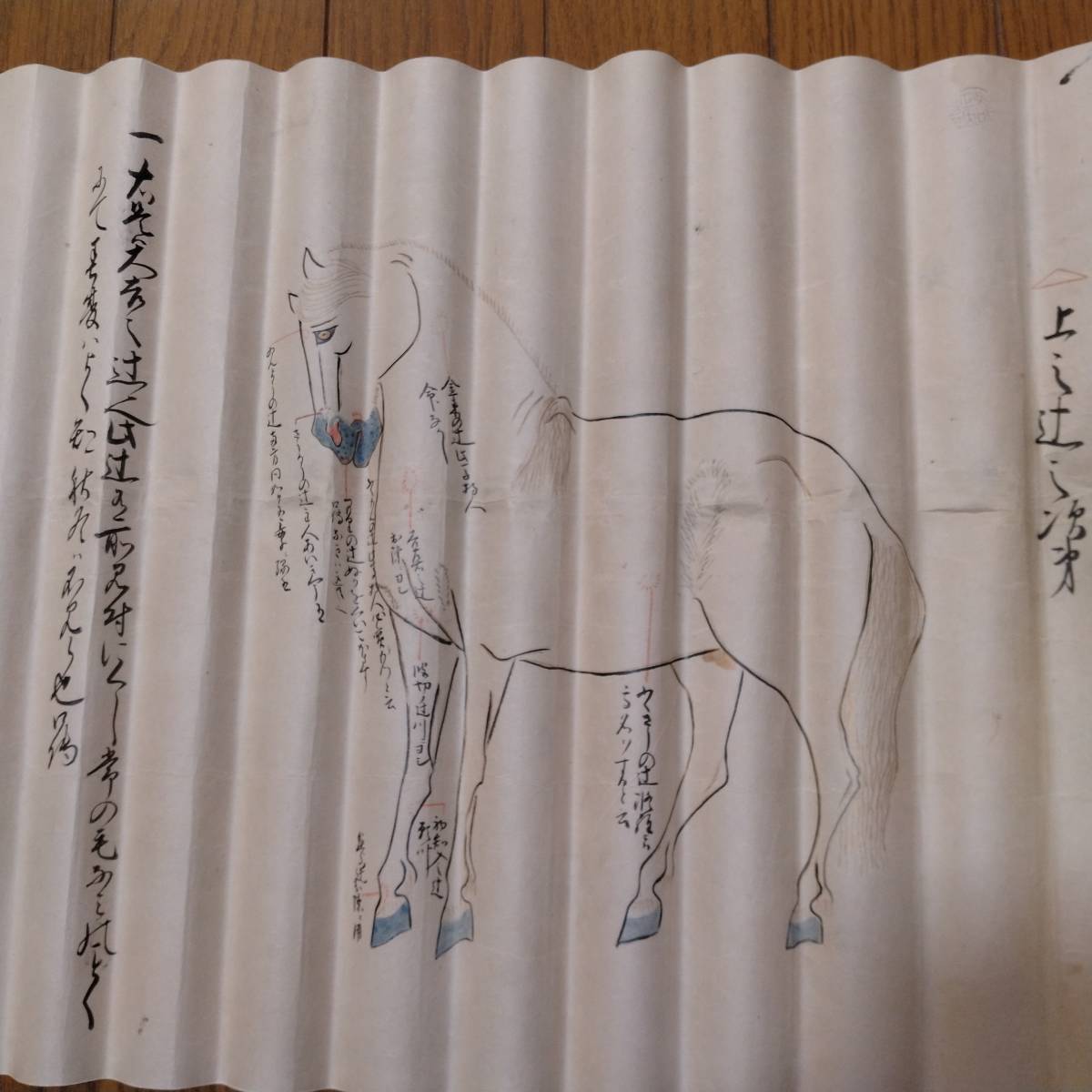 なんだこりゃったら、なんだこりゃ４７ 祖父・祖母の記