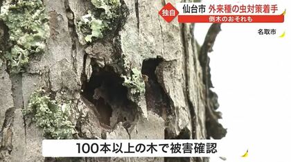 里山の暮らし過去ログ16