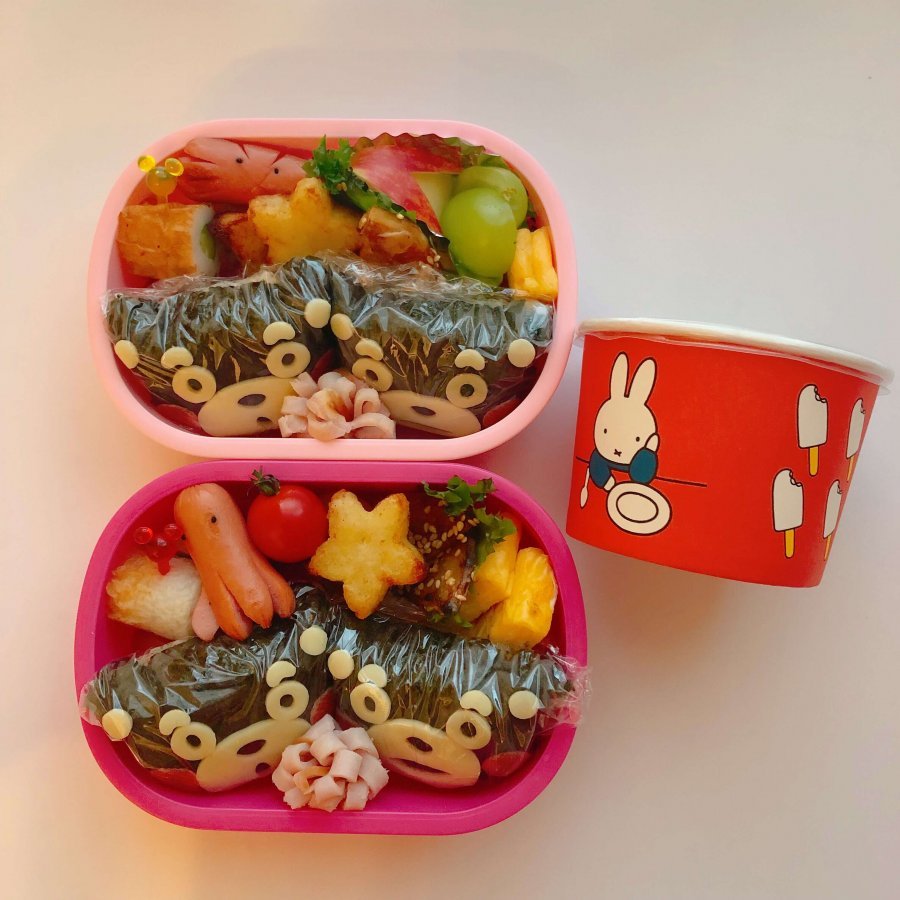 いつものおかずで作る 遠足弁当LEE