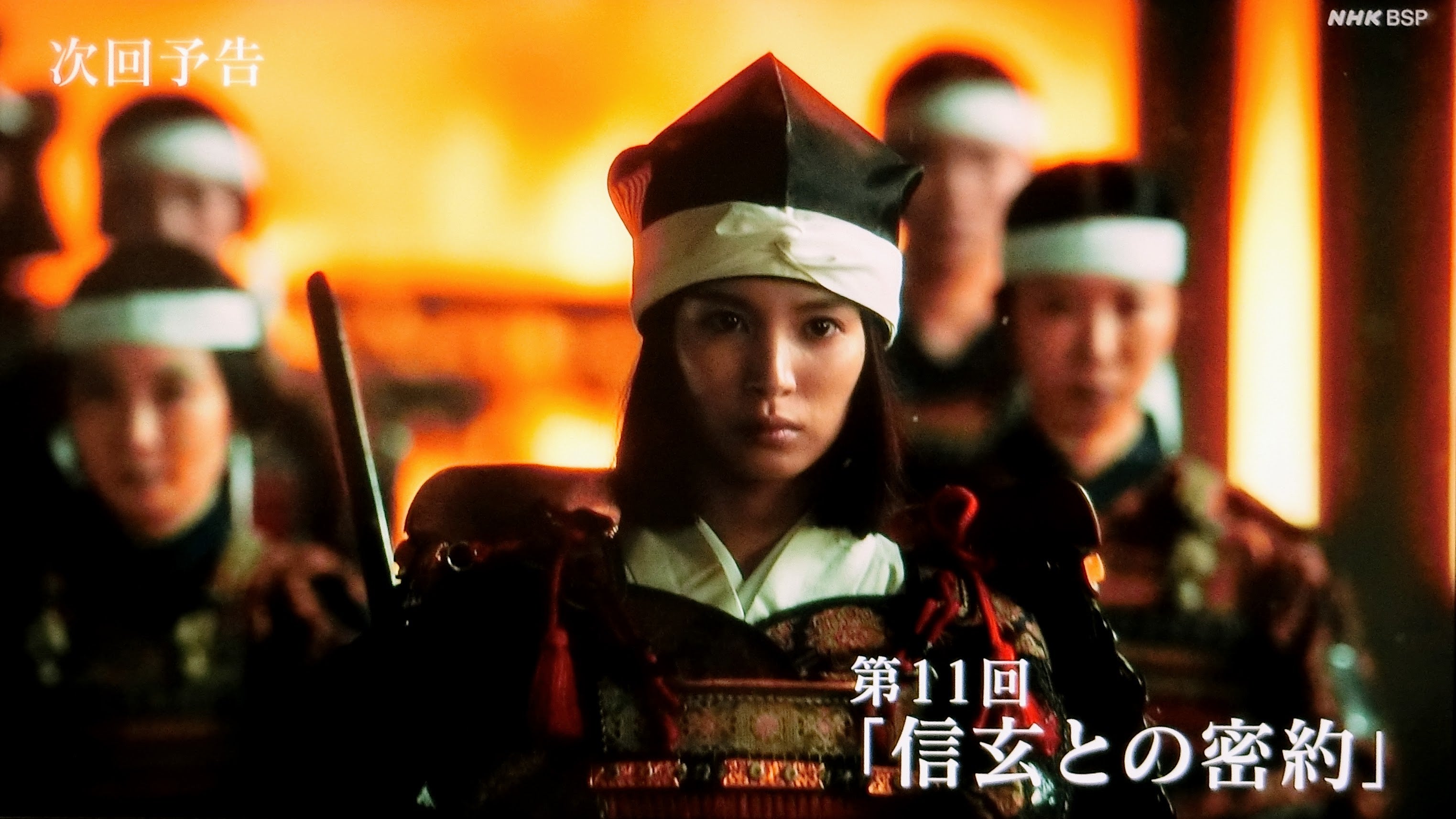 家康は引馬城に籠る「女城主」のお田鶴の方と本当に戦ったのだろうか 渡邊大門- エキスパート - Yahoo!ニュース