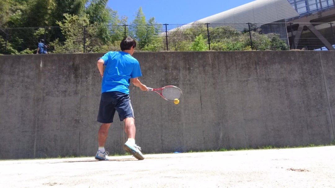 モニカ・セレシュ - Wikipedia