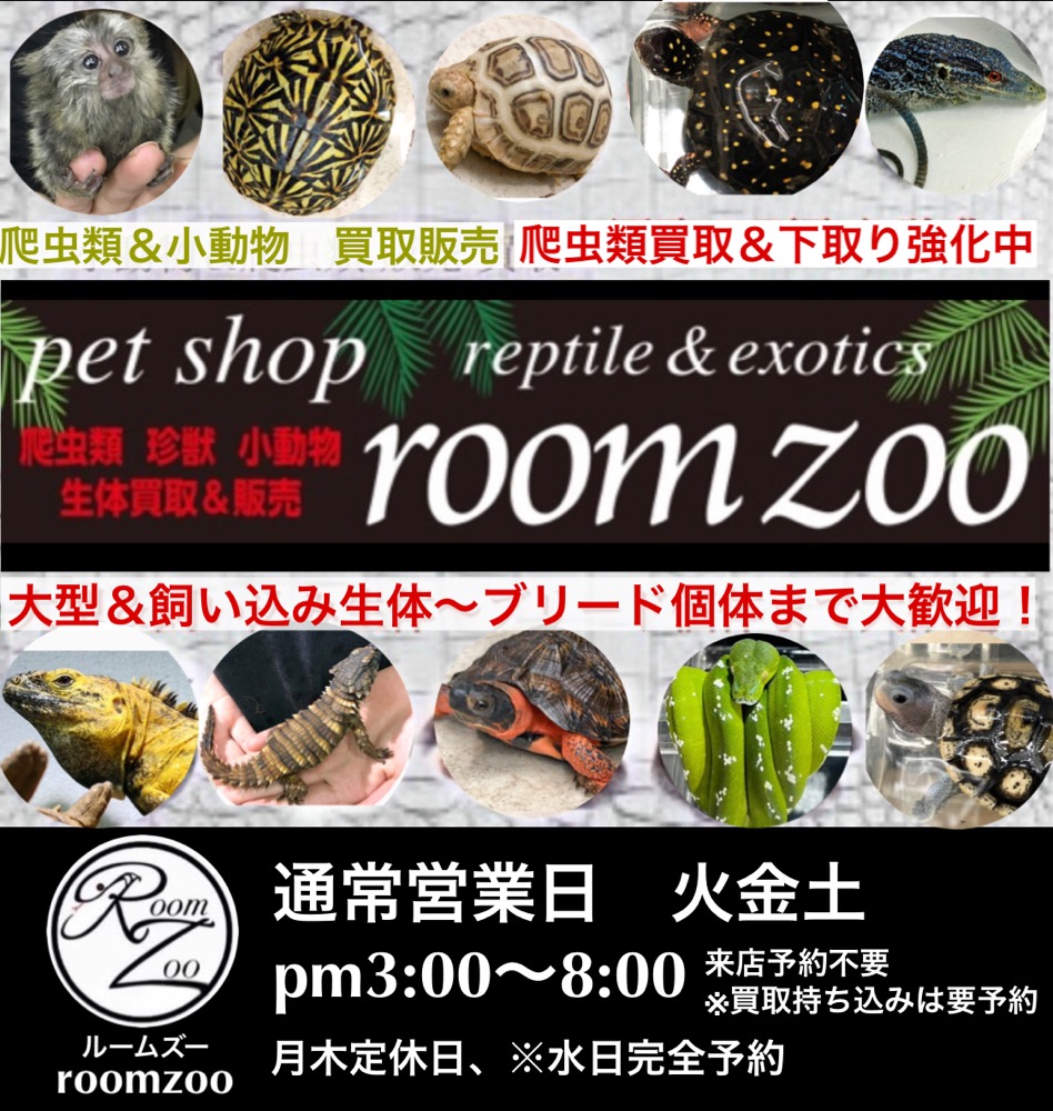 姫路市 買取り K１８リング、プラチナリングなどの貴金属 植木鉢