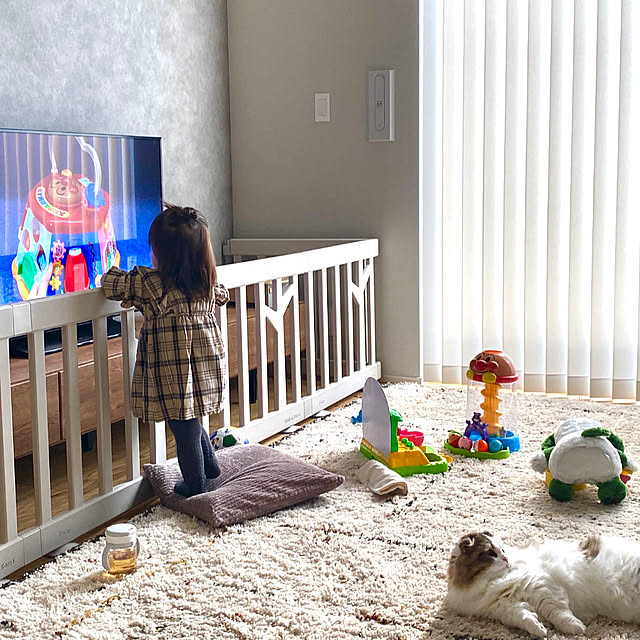 扉付きベビーゲートDiy-Life - イレクターで、できるワクワクを