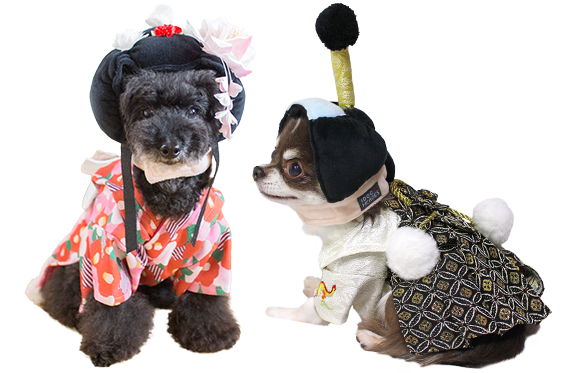 卒業犬からの年賀状紹介 2023 その３: 犬の合宿所 in 高槻