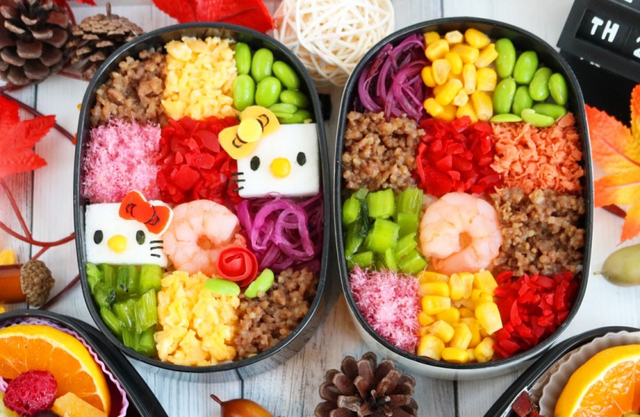 女子高校生の1週間のお弁当 その日に合わせてお弁当作り5日間