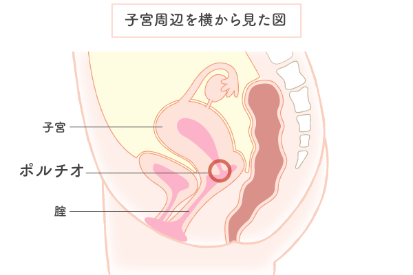 医師Q&A】子供も女性も自然なこと！マスターベーション（オナニー）を知ろう | 家庭ではじめる性教育サイト命育